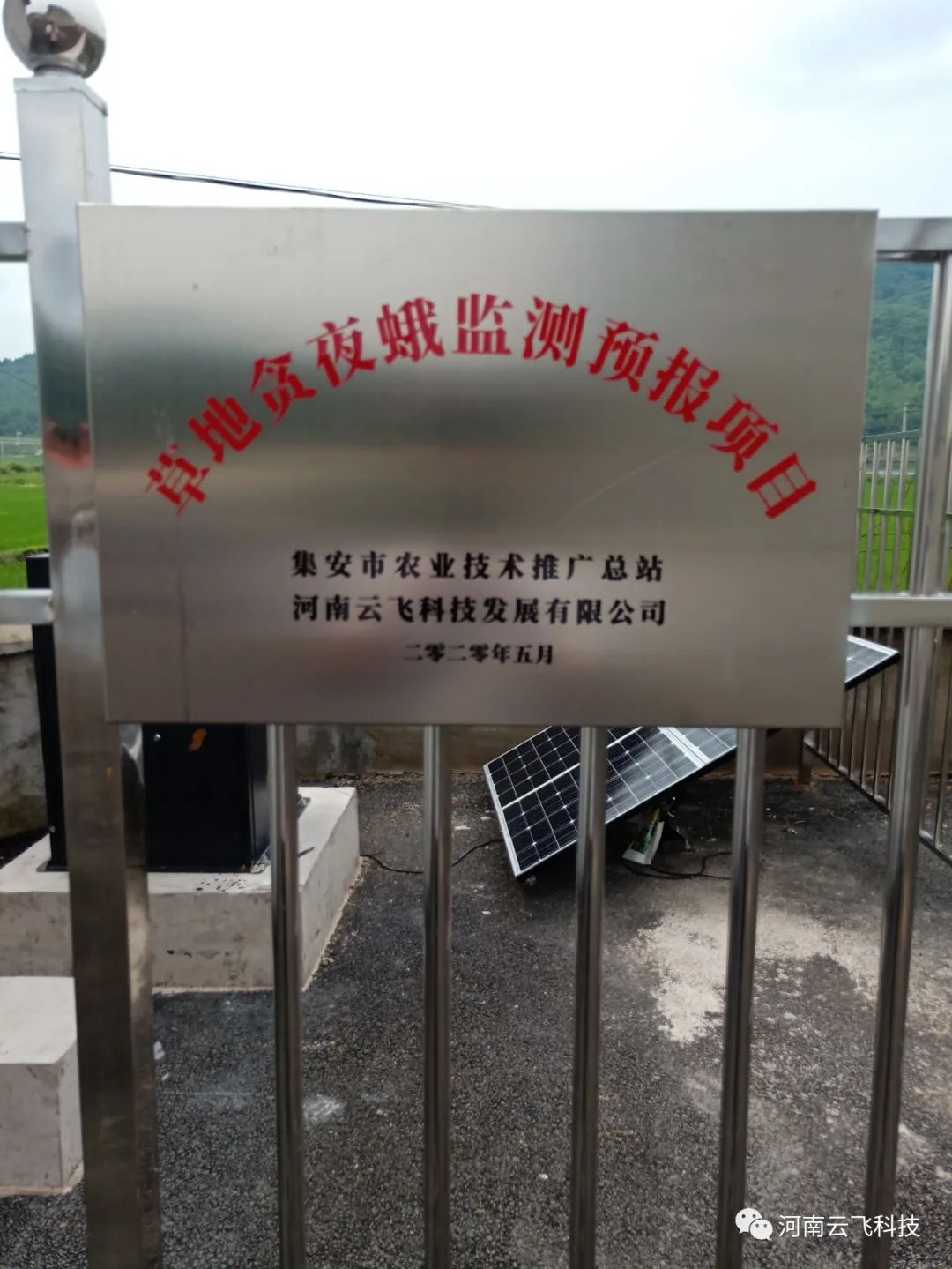 太陽能自動蟲情測報燈
